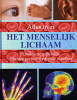 Klik om te vergroten