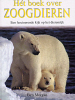 Klik om te vergroten