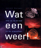 Klik om te vergroten