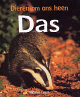 Klik om te vergroten