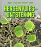 Klik om te vergroten