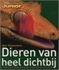 Klik om te vergroten