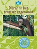 Klik om te vergroten