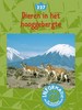 Klik om te vergroten