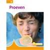 Klik om te vergroten