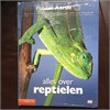 Klik om te vergroten